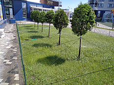 Автоматичний полив у роботі