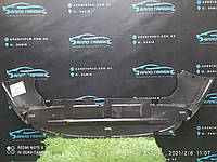 Защита переднего бампера Ford Focus 2 (Защита переднего бампера Форд Фокус 2 2008-2010)