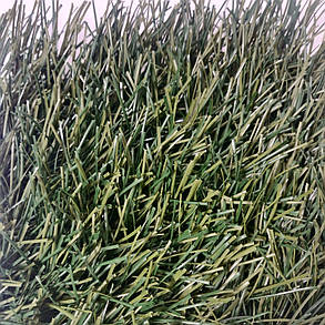 Штучна трава 40мм для футболу Evolution, фото 2