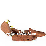 Кедрові формодержателі для взуття Coccine, фото 2