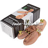 Кедрові формодержателі для взуття Coccine, фото 3