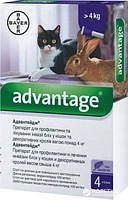 Advantage (Адвантейдж) для котов более 4кг, цена за 1 пипетку 0,8мл - капли от блох Bayer(цена за 1шт)