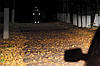 Гнучка Світловідбиваюча Стрічка - Комплект з 10 шт - 40х3 см - Універсальний Розмір, фото 5