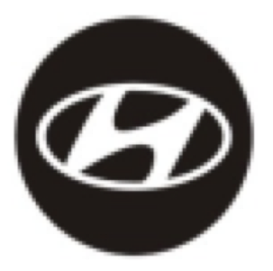 Захисні ковпачки на ніпеля Hyundai 4 шт сріблясті, фото 2