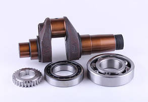 Колінвал в зборі з підшипниками і шестернею (1GZ90) - 195N