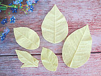 (5 шт) Набір молдів "Листя троянди" (р-р 10,0х6,0, 8,8х5,8, 7,0х4,0, 5,5х3,0, 6,0х2,2 см)
