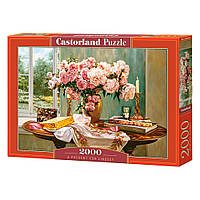 Пазл "Подарок для Линдси", 2000 элементов Castorland (5904438200719)