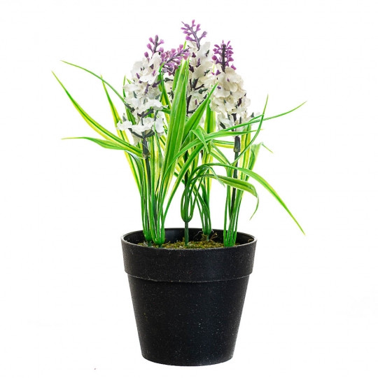 "Лаванда" біла (003FZ-2)