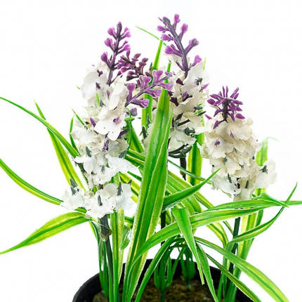 "Лаванда" біла (003FZ-2), фото 2