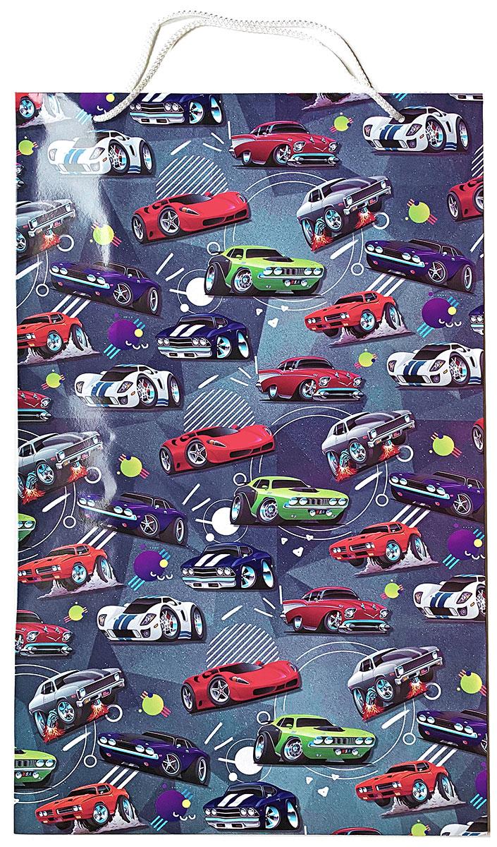 Подарунковий пакет глянцевий 55 х 34 см, фото 1