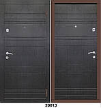 Двері вхідні в квартиру, фото 2