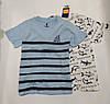 Футболка для хлопчика синя в смужку Lupilu (Німеччина) р. 86/92, 110/116см, фото 2