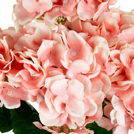 Букет "Гортензія коралова", в пакованні 2 шт. (8103-010), фото 2