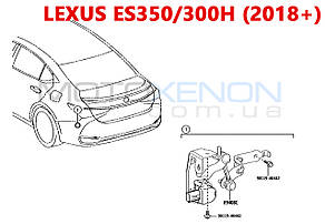 Датчик коректора фар Lexus ES350 ES300H (2018+) задній 8940847020 8940806030 (AFS height sensor), фото 4