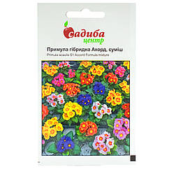 Примула Акорд суміш 0.01 г Hem Zaden