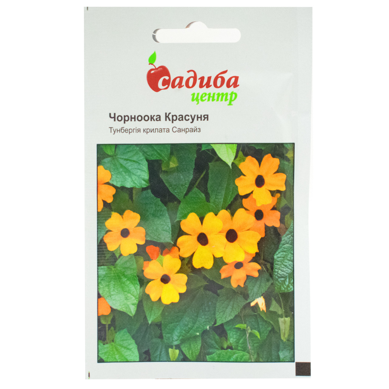 Тунбергія Чорноока красуня 0.1 г Hem Zaden, фото 1