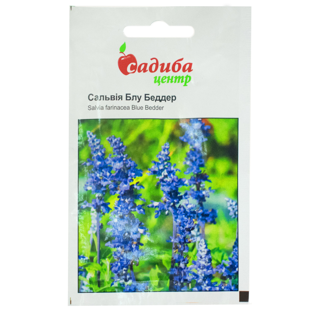 Сальвія Блу бедер синя 0.5 г Hem Zaden, фото 1