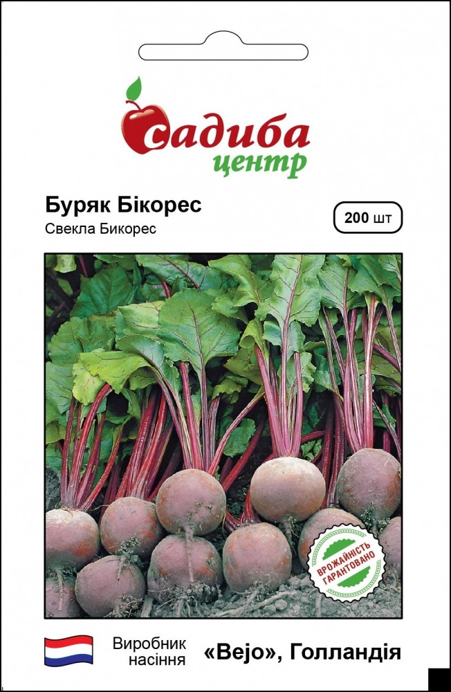 Буряк Бікорес 200 шт. Садиба Центр
