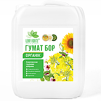 Гумат Бор 10л (Стимулятор росту)