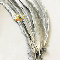 Пір'я півня, довжина 25-30см, ширина 2,5 см, колір Silver, 1шт