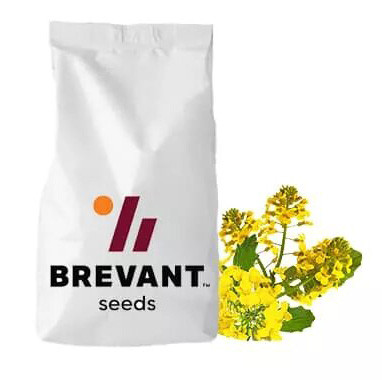 ПР46В21, PR46W21 насіння озимого ріпаку Brevant (Бревант)