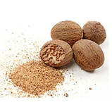 Горіх мускатний мелений 100 г, фото 2