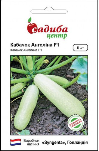 Насіння кабачка раннього Ангеліна F1, 5 насінин, "Syngenta" (Сингента), Голландія.