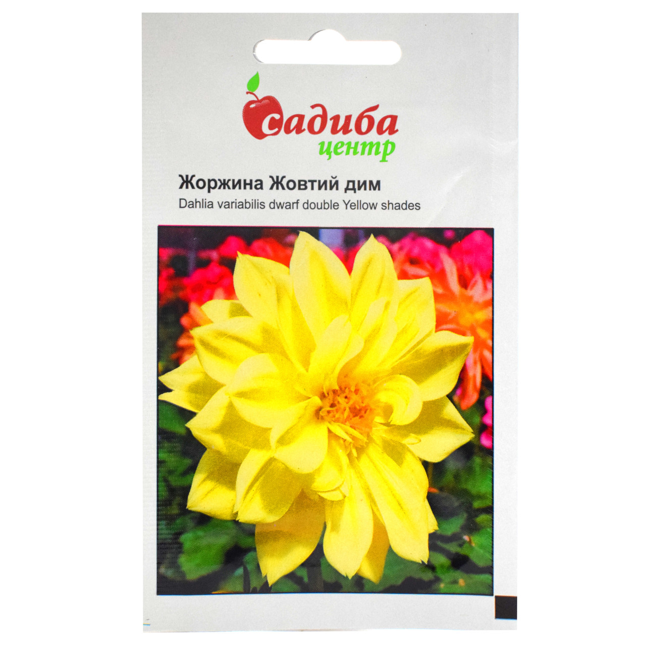 Жоржина Жовтий дим 0.1 г Hem Zaden