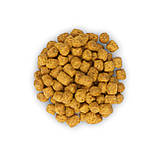 Сухий корм Хіллс Hills для стерилізованих і кастрованих котів із куркою від 1 до 7 років, фото 3