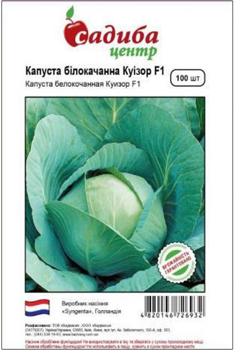 Насіння капусти білокачанної середньостиглої КУИЗОР F1, 100 насінин Сінгента, Голландія