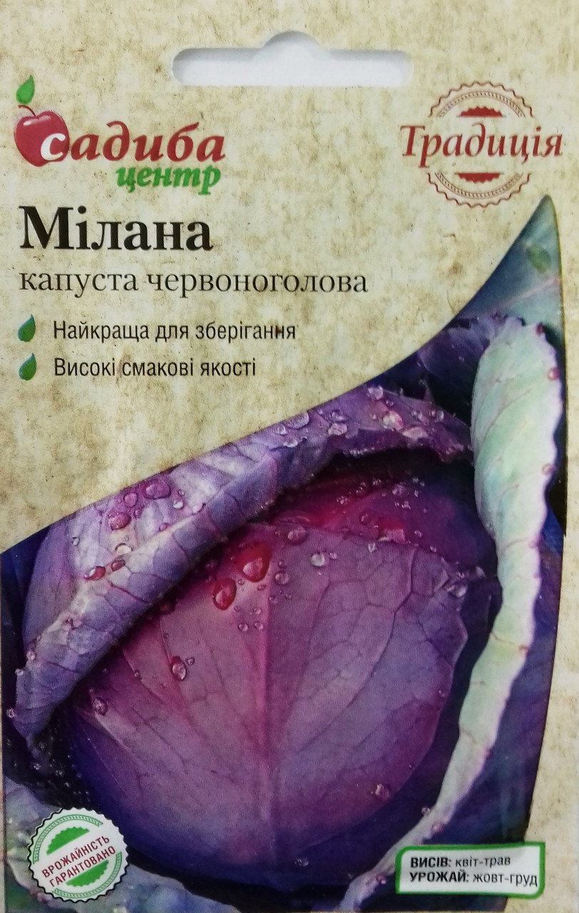Насіння капусти червоноголової Мілана, пізньостиглий 0,5 м, "Бадваси", Традиція
