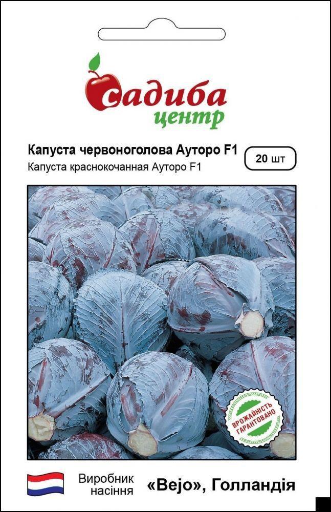 Насіння капусти червоноголової Ауторо F1 20 шт, Bejo, Нідерланди