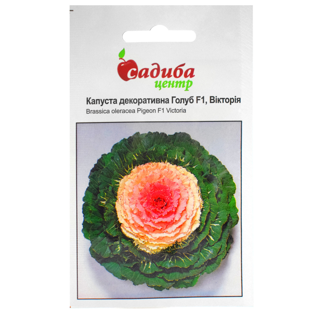 Капуста декоративна Голуб вікторія F1 10 шт Satimex