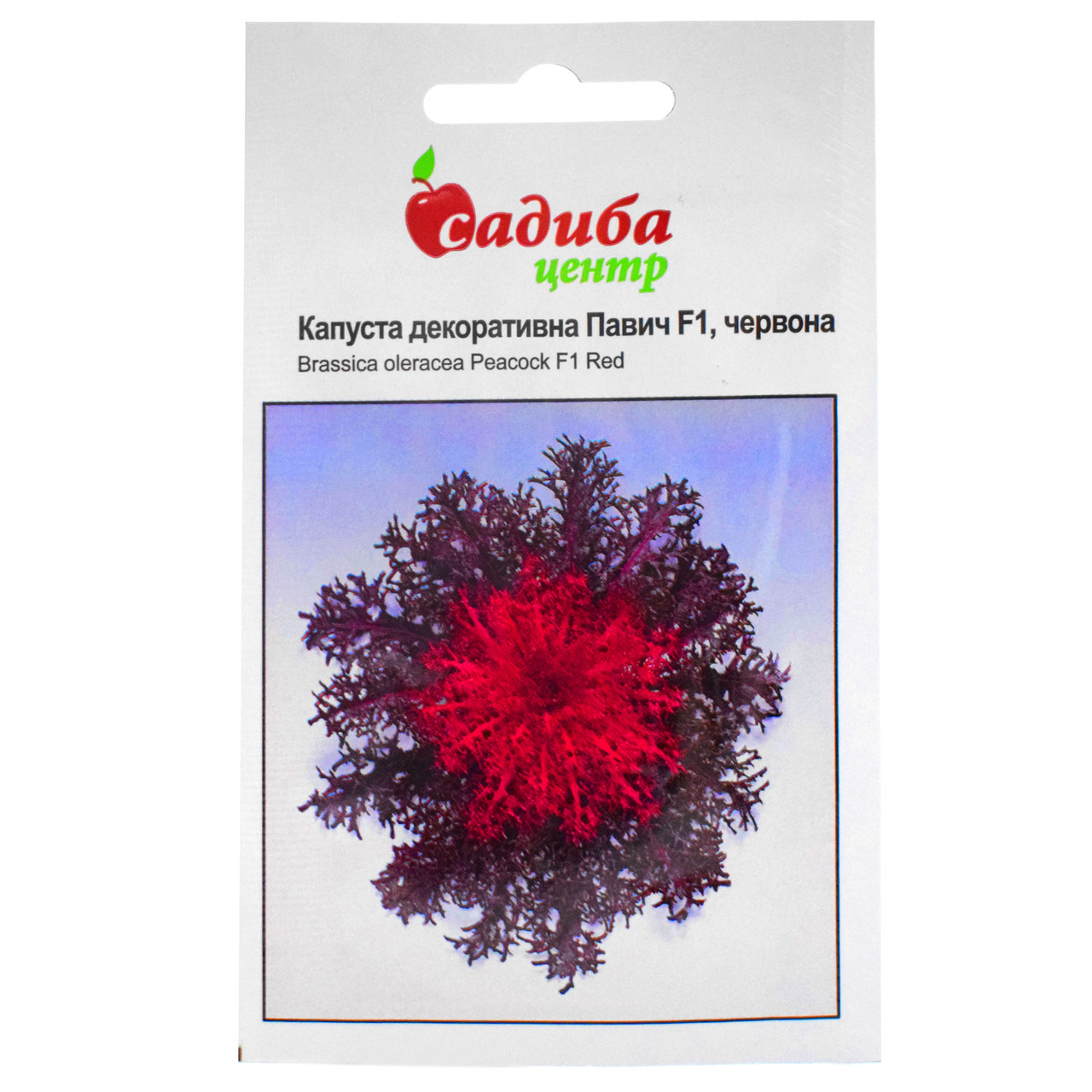Капуста декоративна Павич червона F1 10 шт Satimex, фото 1