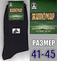 Мужские демисезонные носки ТМ "Успех" Житомир Лайкра размер 41-45 Украина НМД-05164