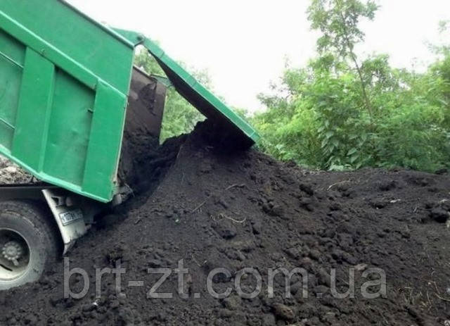 Чорнозем для городу. Житомир