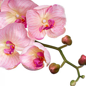 Орхідея ніжно-рожева 137 см, в пакованні 6 шт. (2000-043PK), фото 2