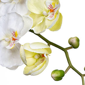 Орхідея біла 137 см, у пакованні 6 шт. (2000-041WT), фото 2