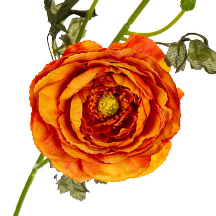 Букет "Ранункулюс" жовтогарячий, у пакованні 2 шт. (8114-021), фото 2