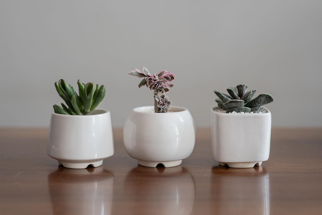 Набір керамічних горщиків Mini Plant маленького розміру 6,2-6,5 см Білий 3 шт.