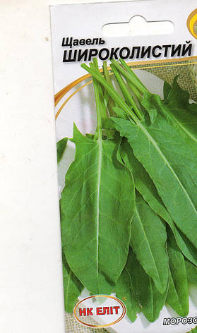Щавель ШИРОКИСТИЙ 1 г., фото 1