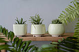 Набір керамічних горщиків Mini Plant маленького розміру 6,2-6,5 см Білий 3 шт., фото 3