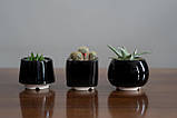 Набір керамічних горщиків Mini Plant маленького розміру 6,2-6,5 см Білий 3 шт., фото 7