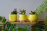 Набір керамічних горщиків Mini Plant маленького розміру 6,2-6,5 см Білий 3 шт., фото 8