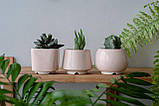 Набір керамічних горщиків Mini Plant маленького розміру 6,2-6,5 см Білий 3 шт., фото 10