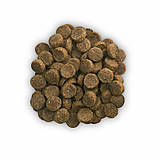 Лікувальний корм Хіллс Hills c/d для кішок і котів із сечокам'яною хворобою з куркою, фото 3