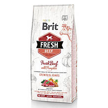 Корм сухий для цуценят і молодих собак великих порід Brit Fresh Beef with Pumpkin Puppy Large 2.5 кг (яловичина, гарбуз)