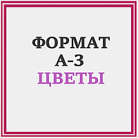 СХЕМИ КВІТИ А3