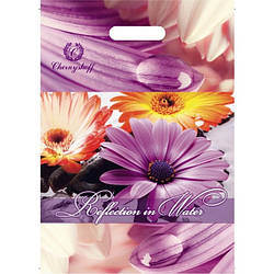 Пакет прорізний 220*300 мм