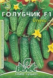 Насіння огірка Голубчик F1 2.5г, ранньостиглий.